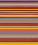 Robi Pant Brown
